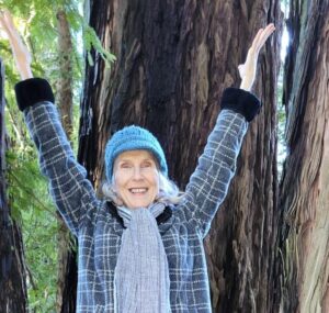 yoga in redwood trees